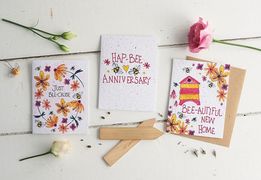 Paperchase Cards