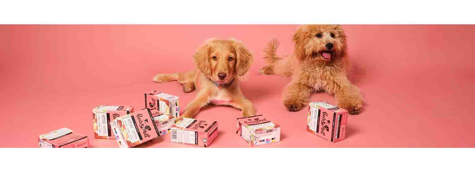 Pets & Accessories Voucher Codes & Exclusives