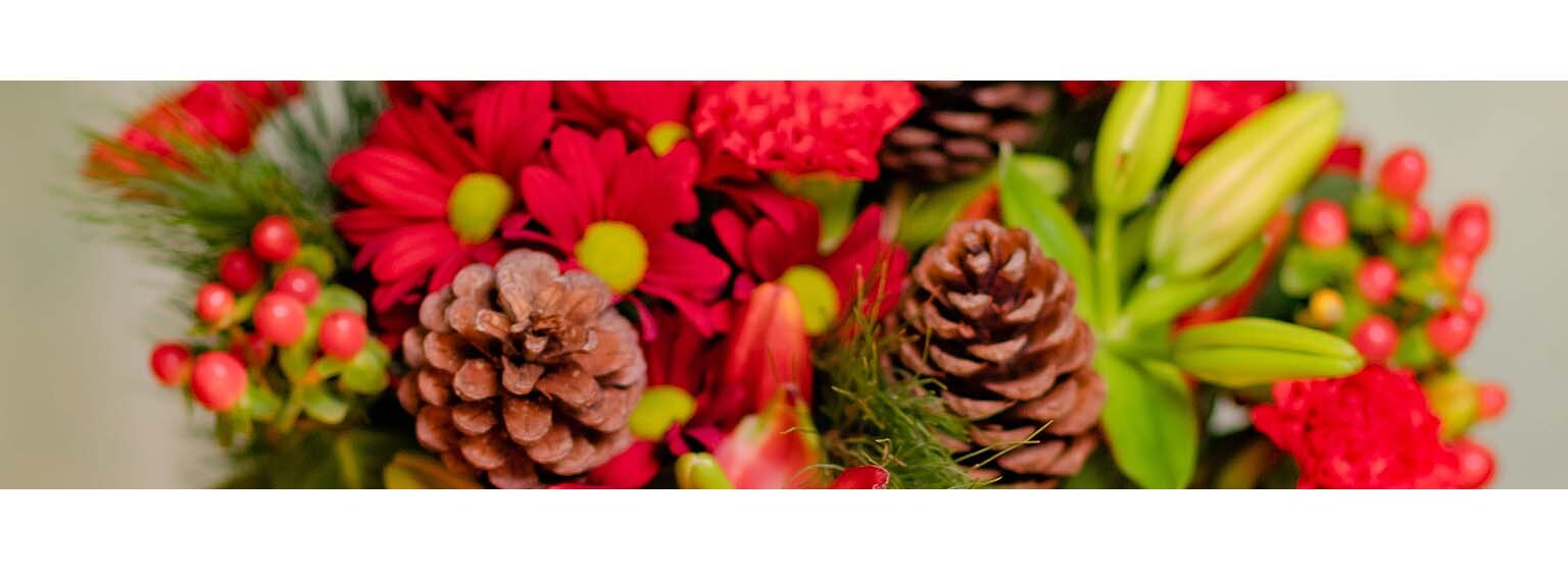 Home & Garden Discount Codes, Offers & Deals