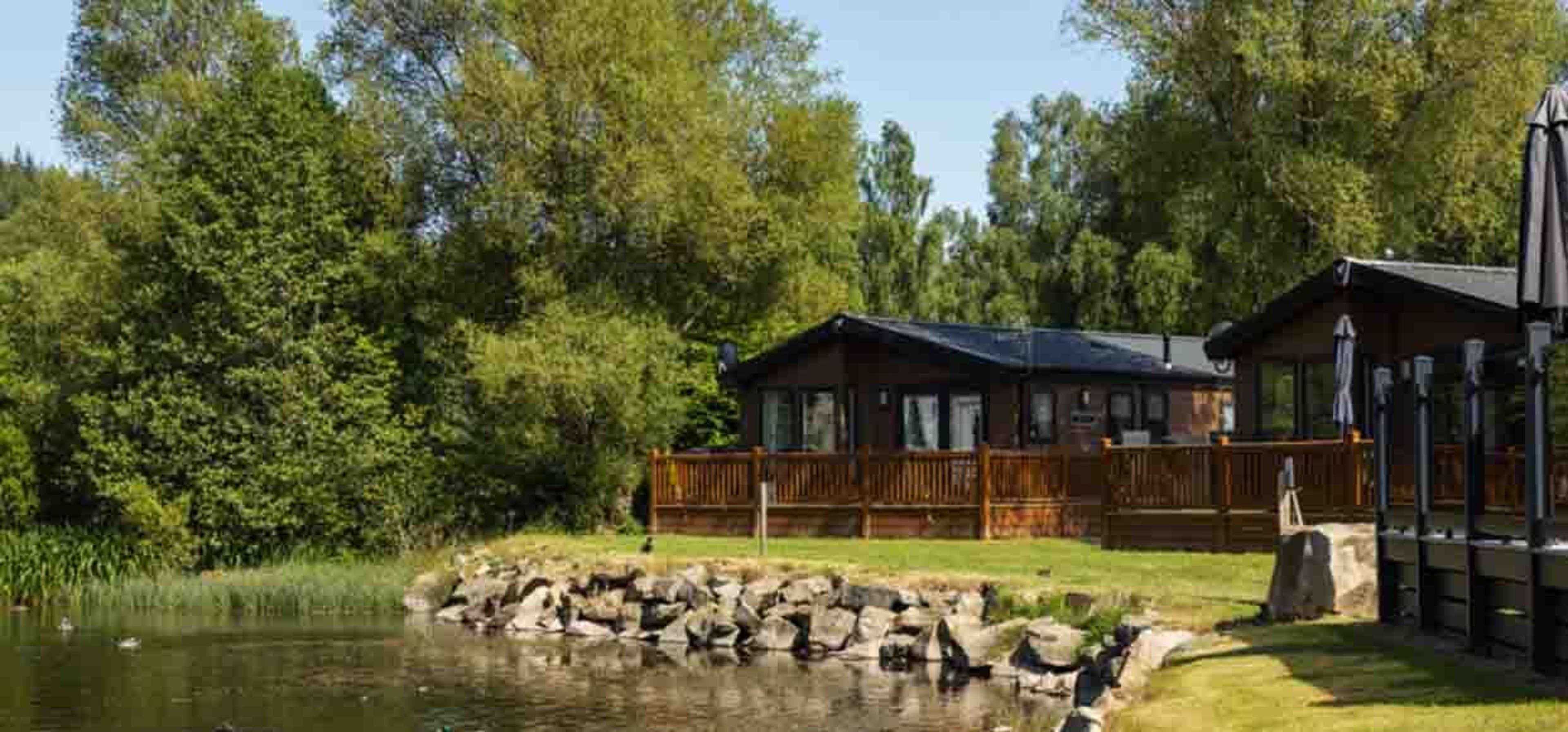 image of a cottage in the forest