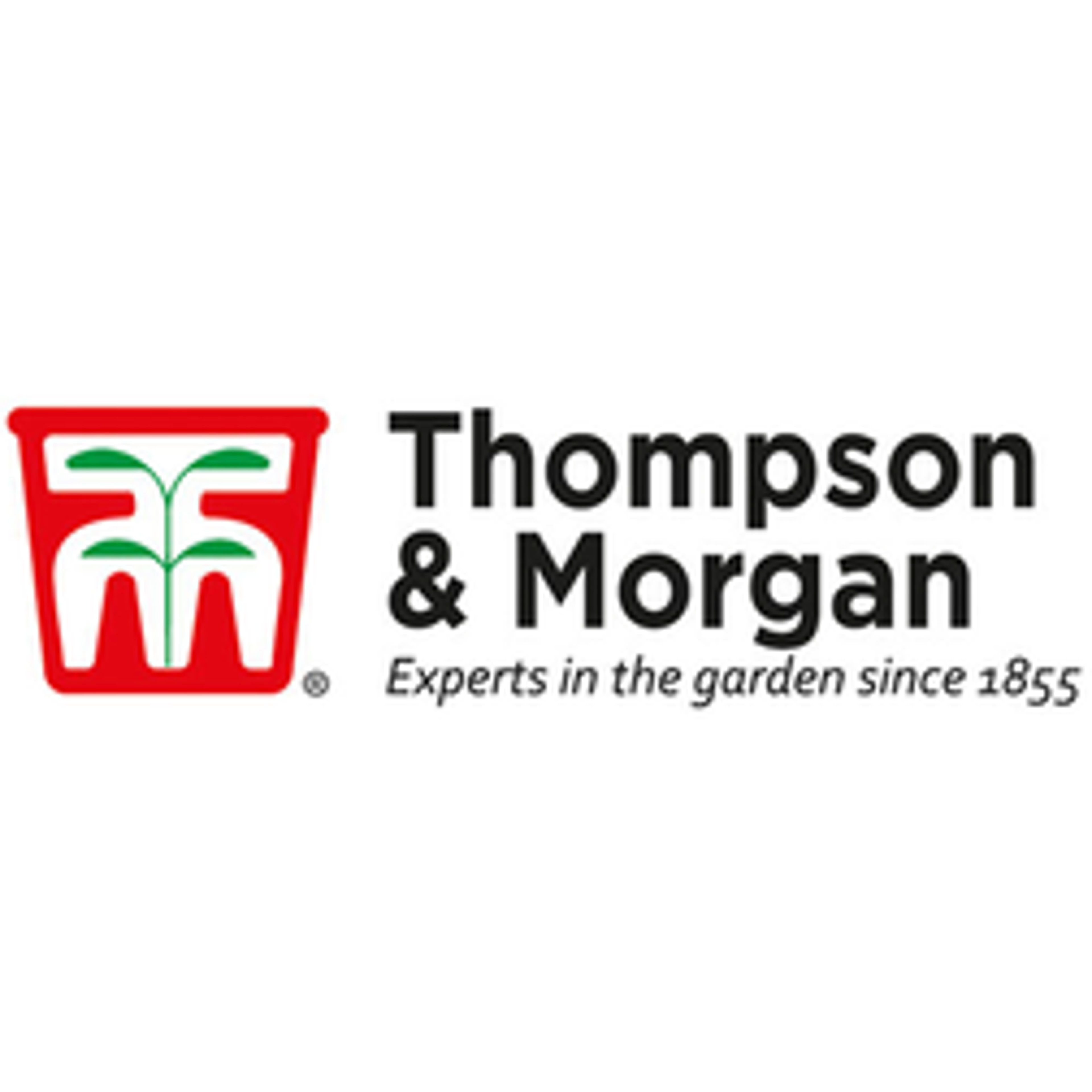 How To Grow Cress  Thompson & Morgan