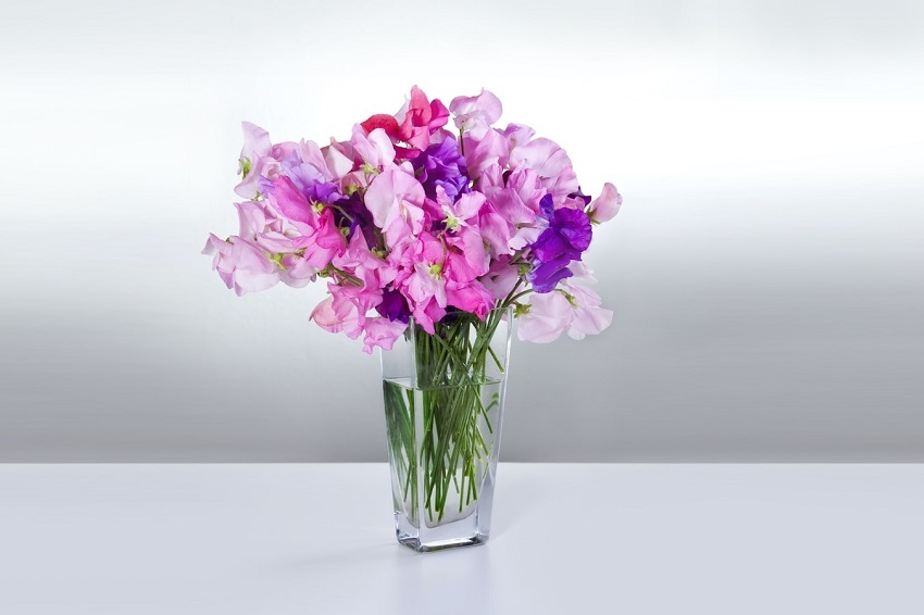 Flying Flowers