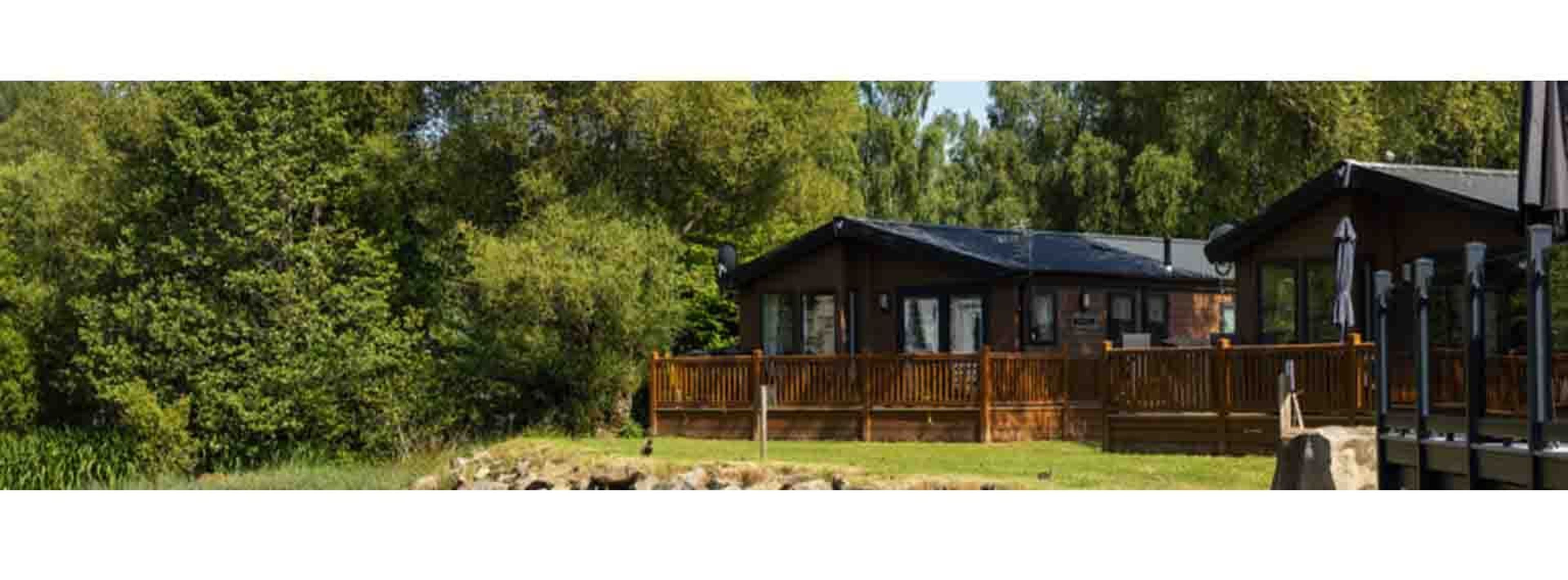 image of a cottage in the forest