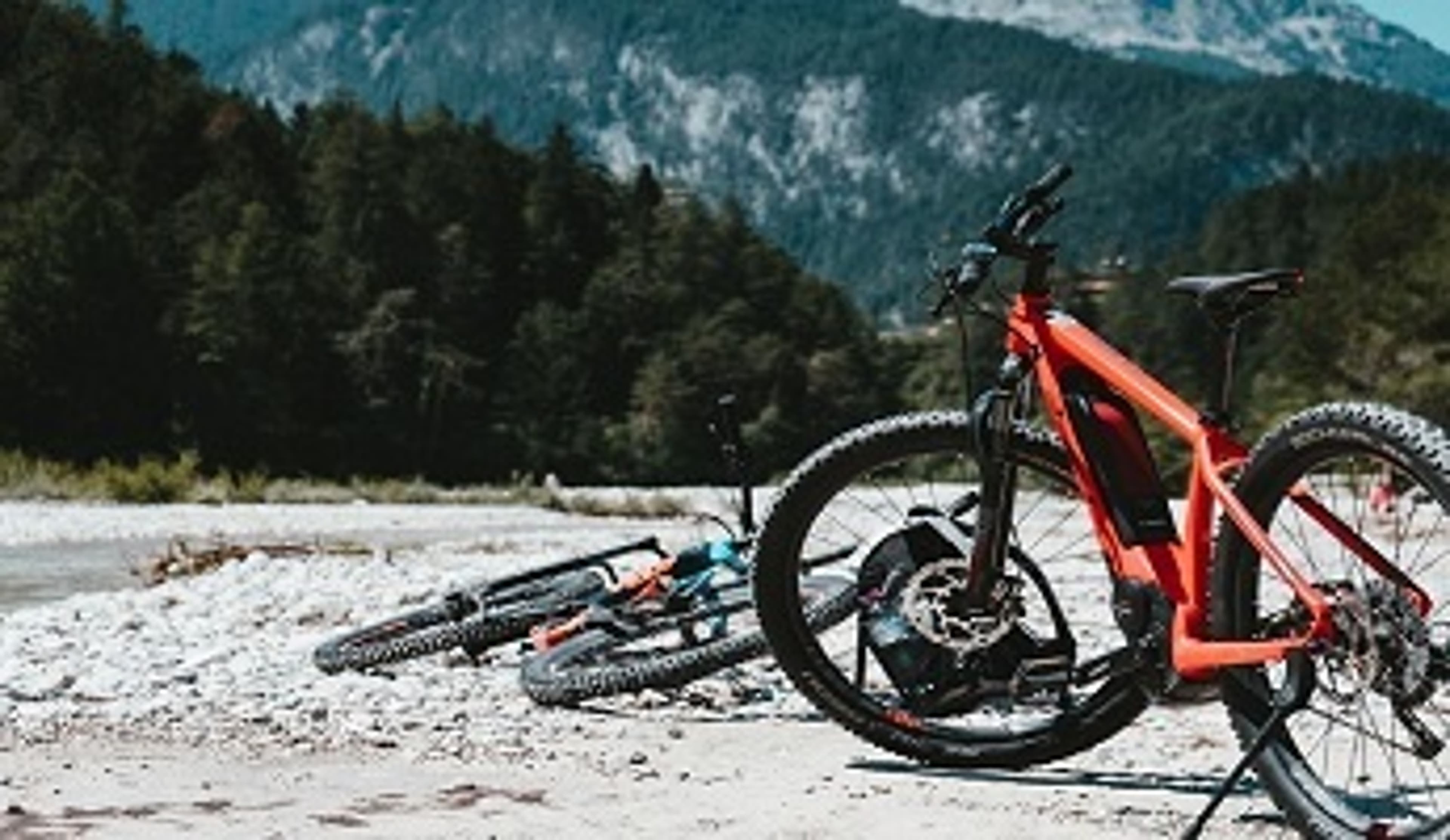  A Tredz Road bike near a forest 