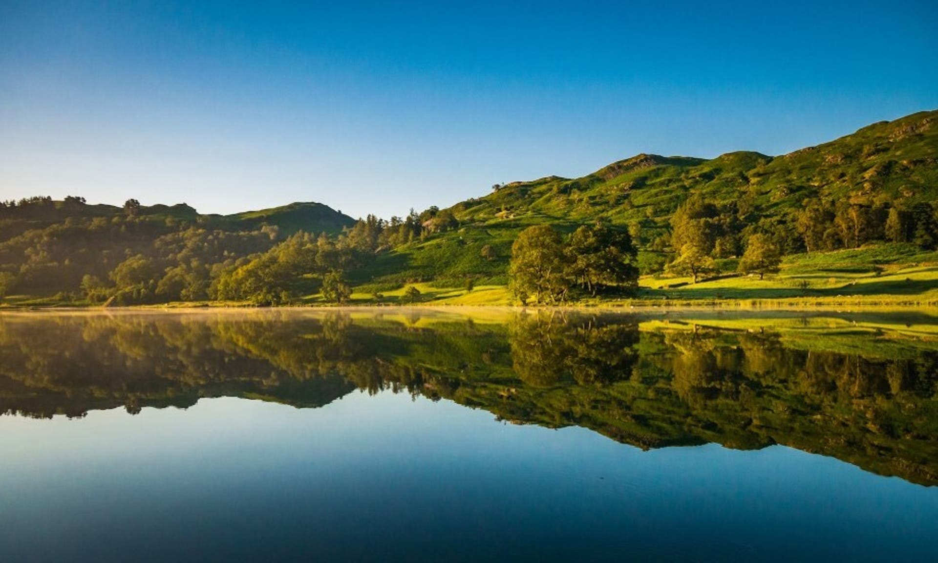  picturesque image of a lake in the Lake District, surrounded by green grass and trees on a sunny day 