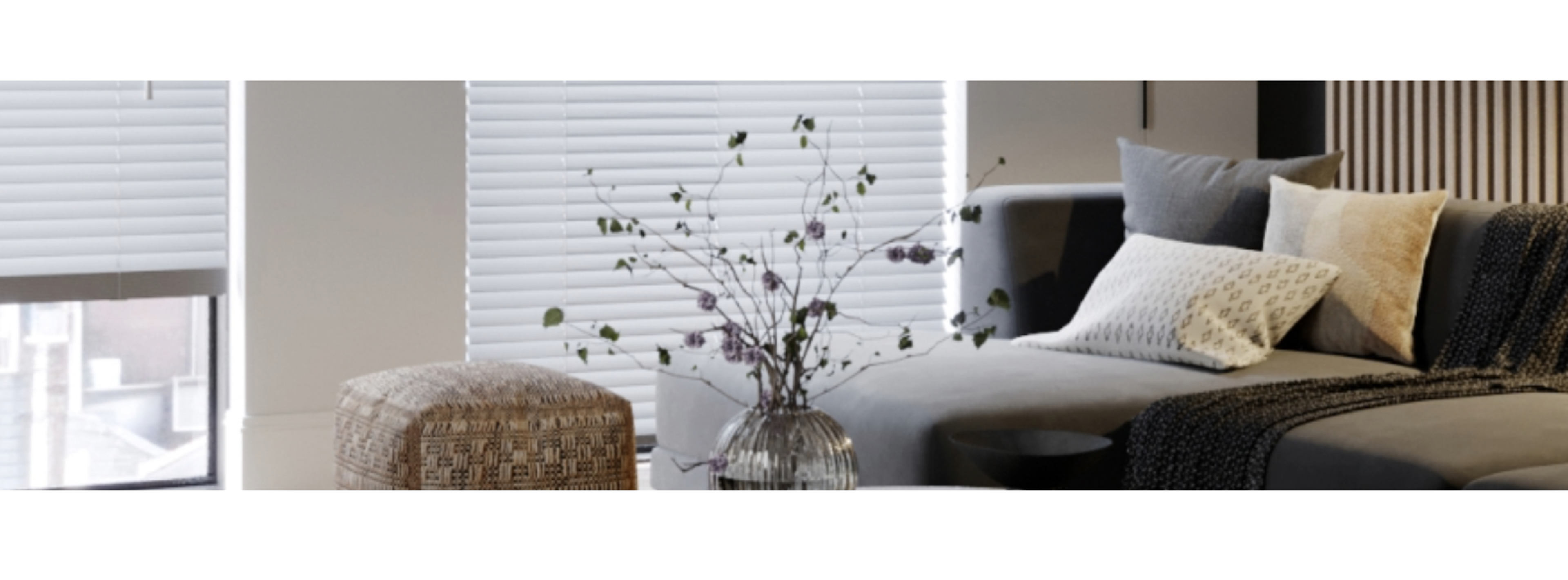 light grey blinds in living room