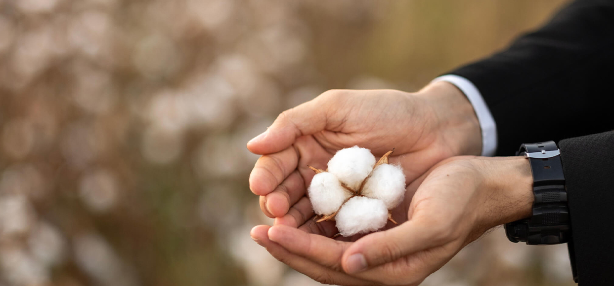  Man in suit holding in his palms cotton balls 