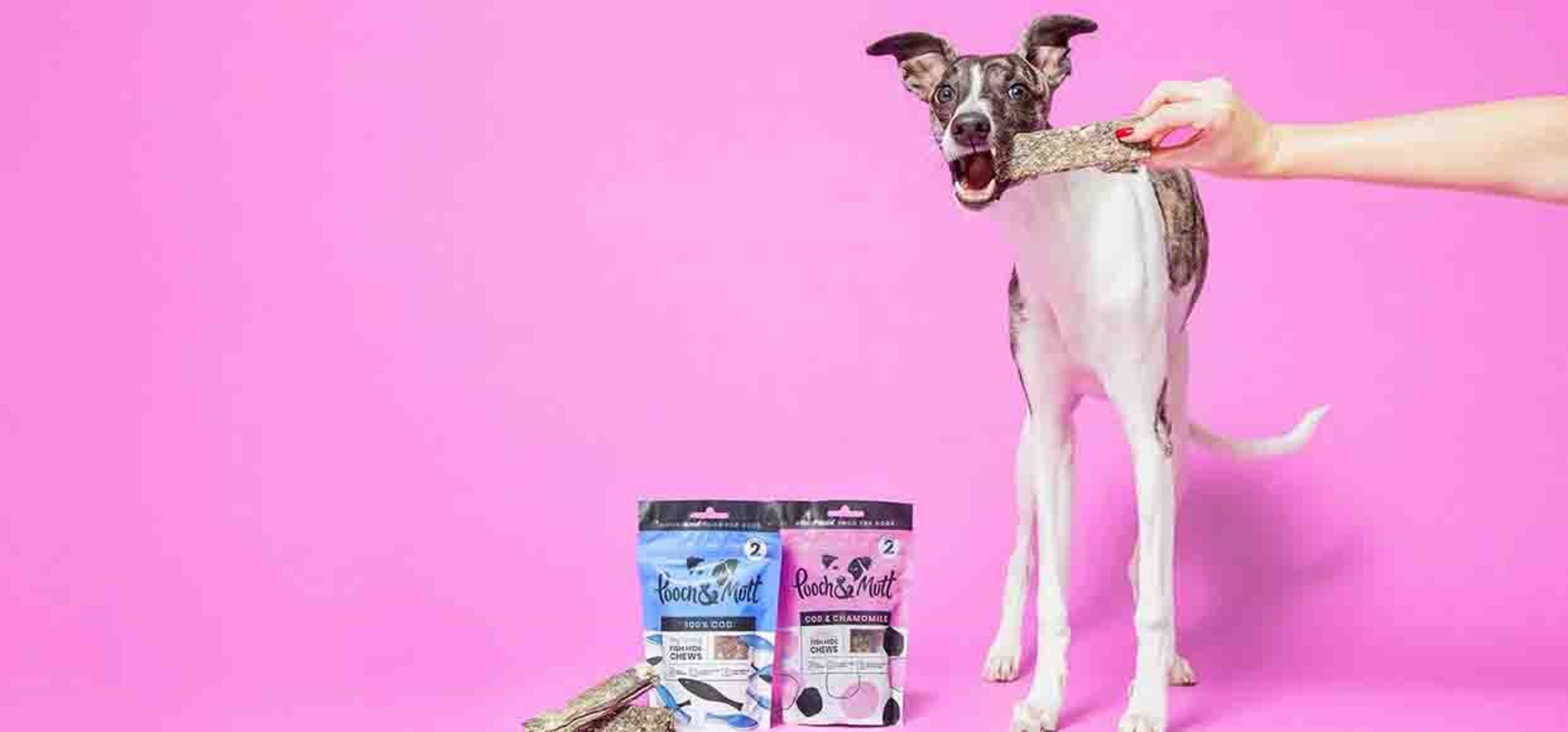 PoochandMutt petfood pet