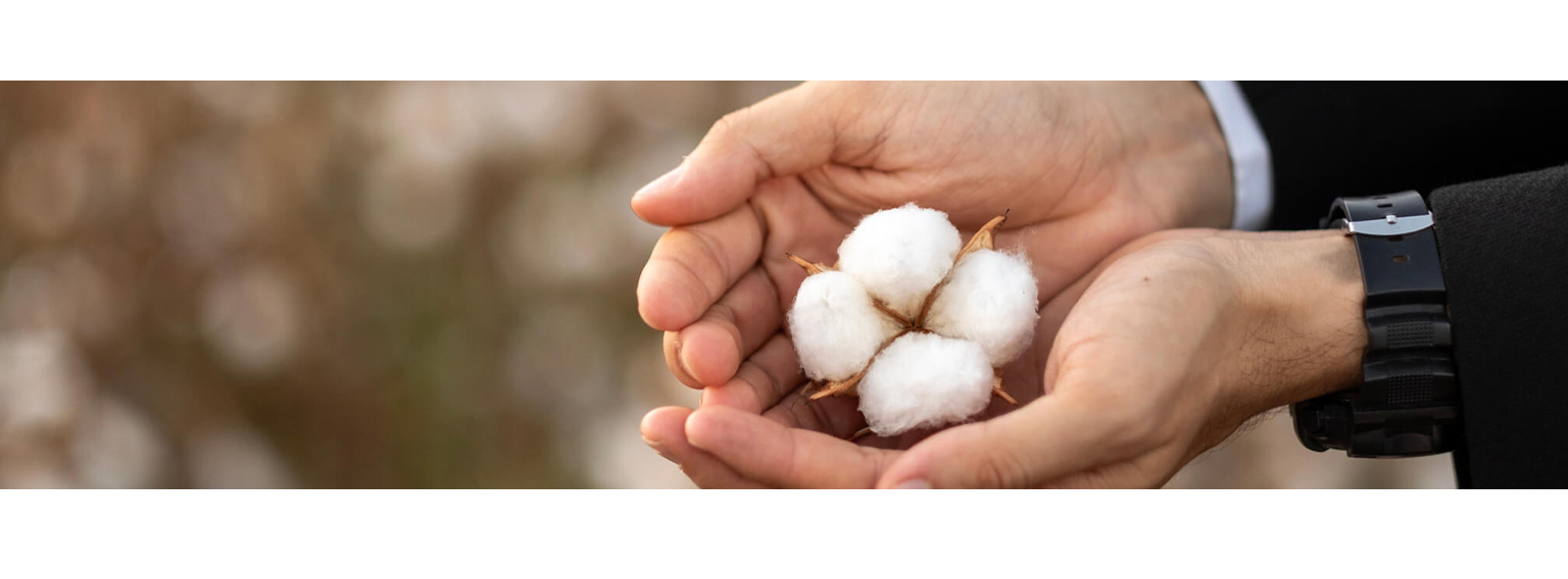  Man in suit holding in his palms cotton balls 