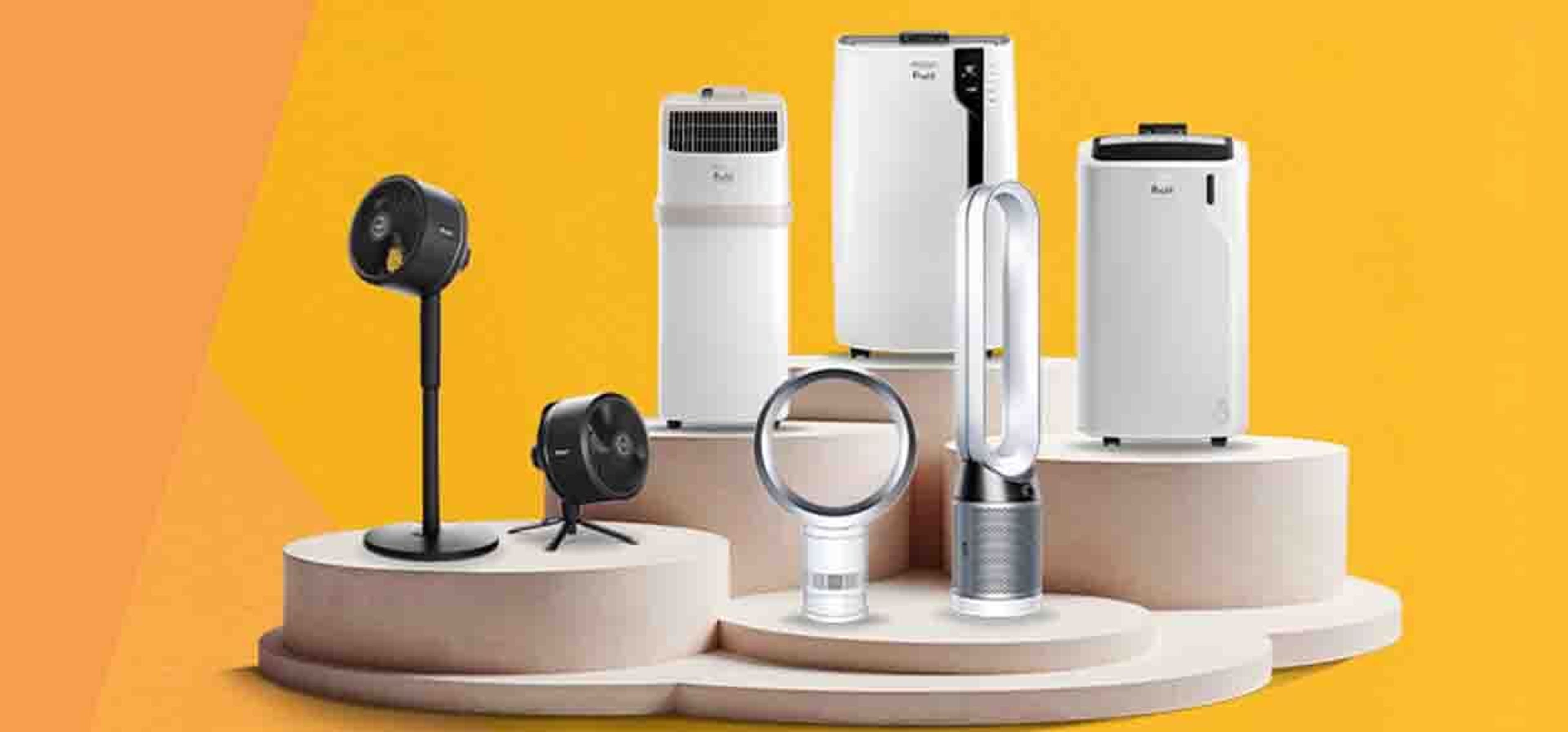 multiple variations of fans to beat the summer heat