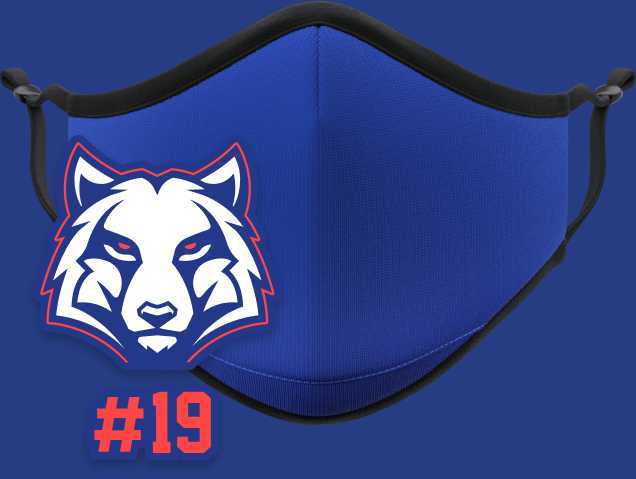 Vistaprint Custom Masks