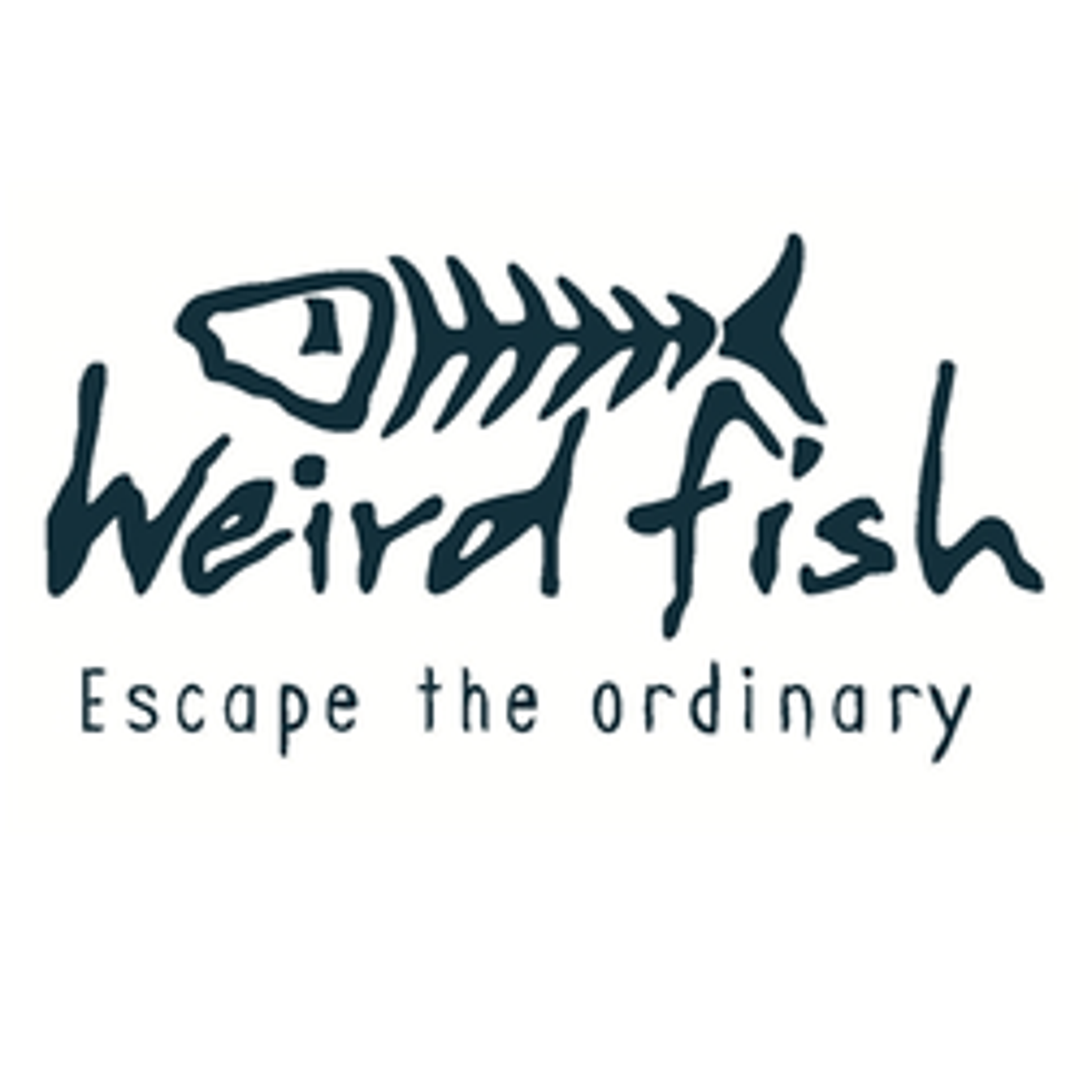  Weird Fish 