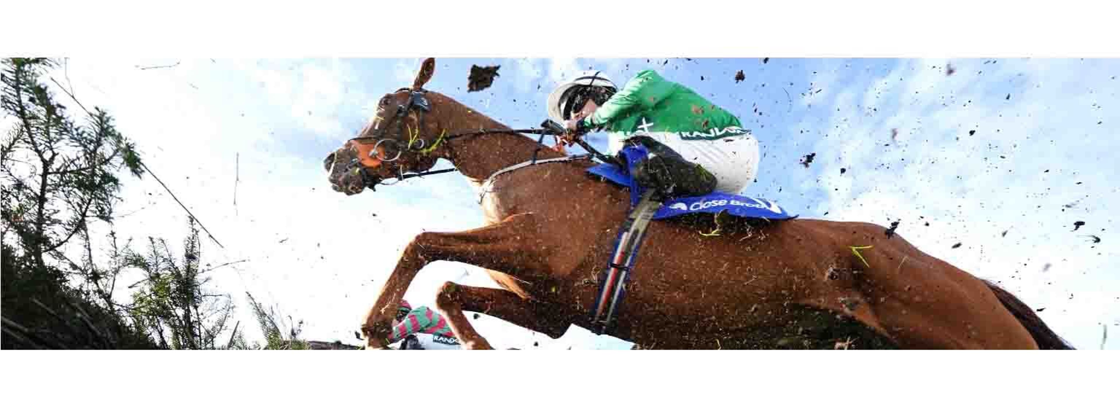  jockeyclub horseracing racing 