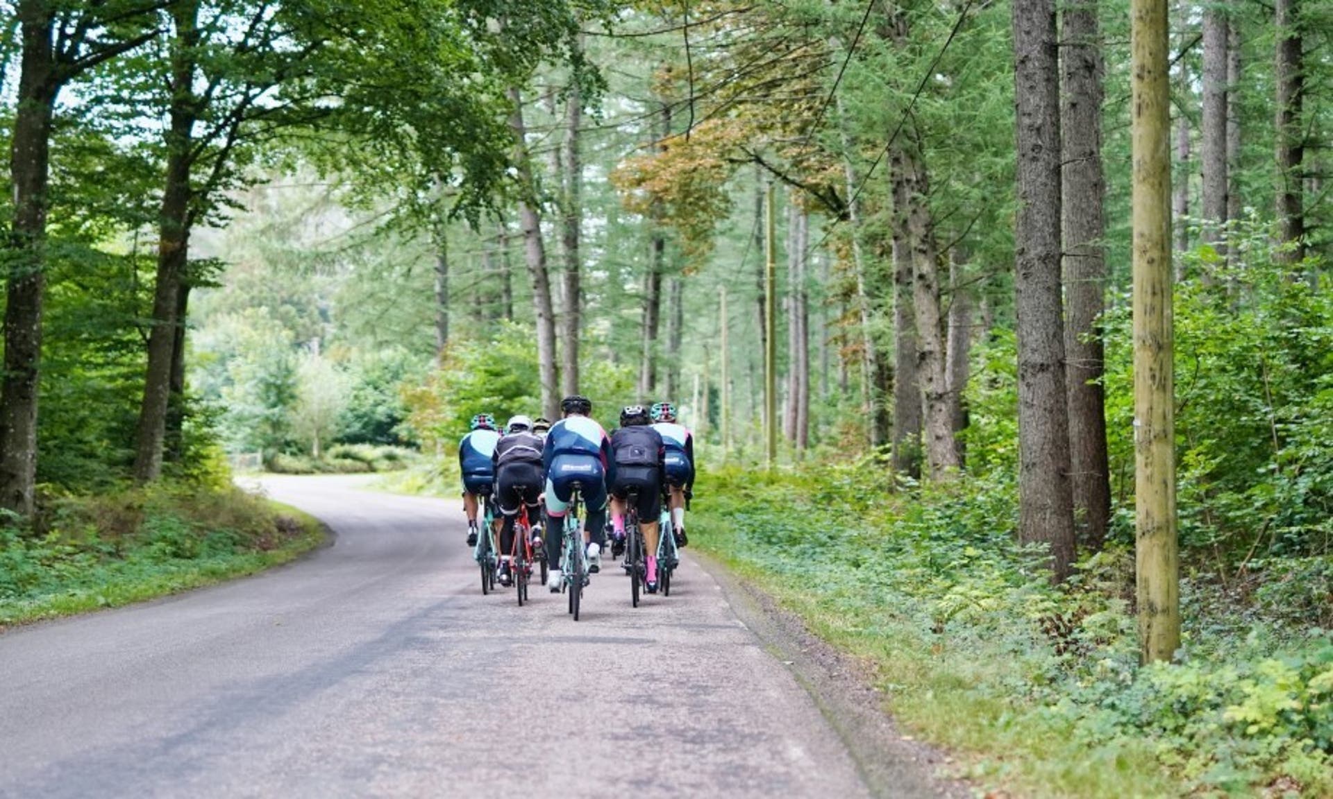  image of a peloton of cyclists from behind, travelling down a country lane 