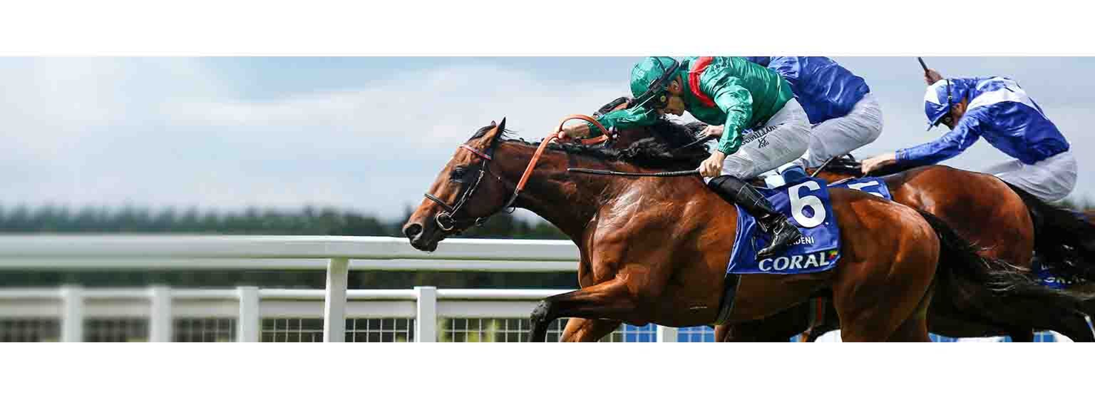 newmarket jockey racecourse
