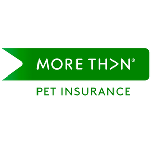 More Than Pet Insurance Discount Codes 25 Off