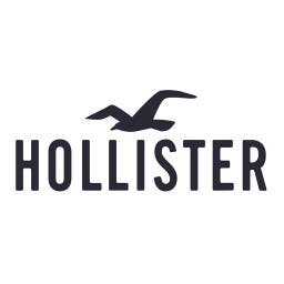  Hollister 