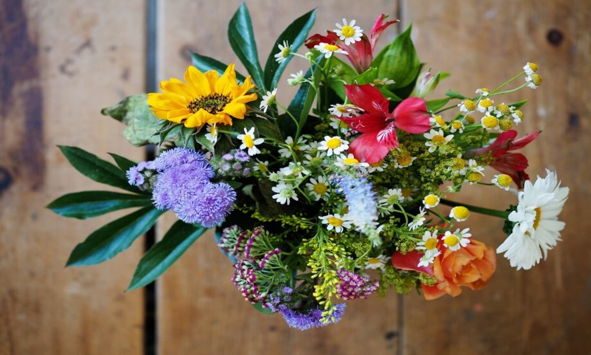  an image of a colourful bouquet of flowers taken from above, looking down 