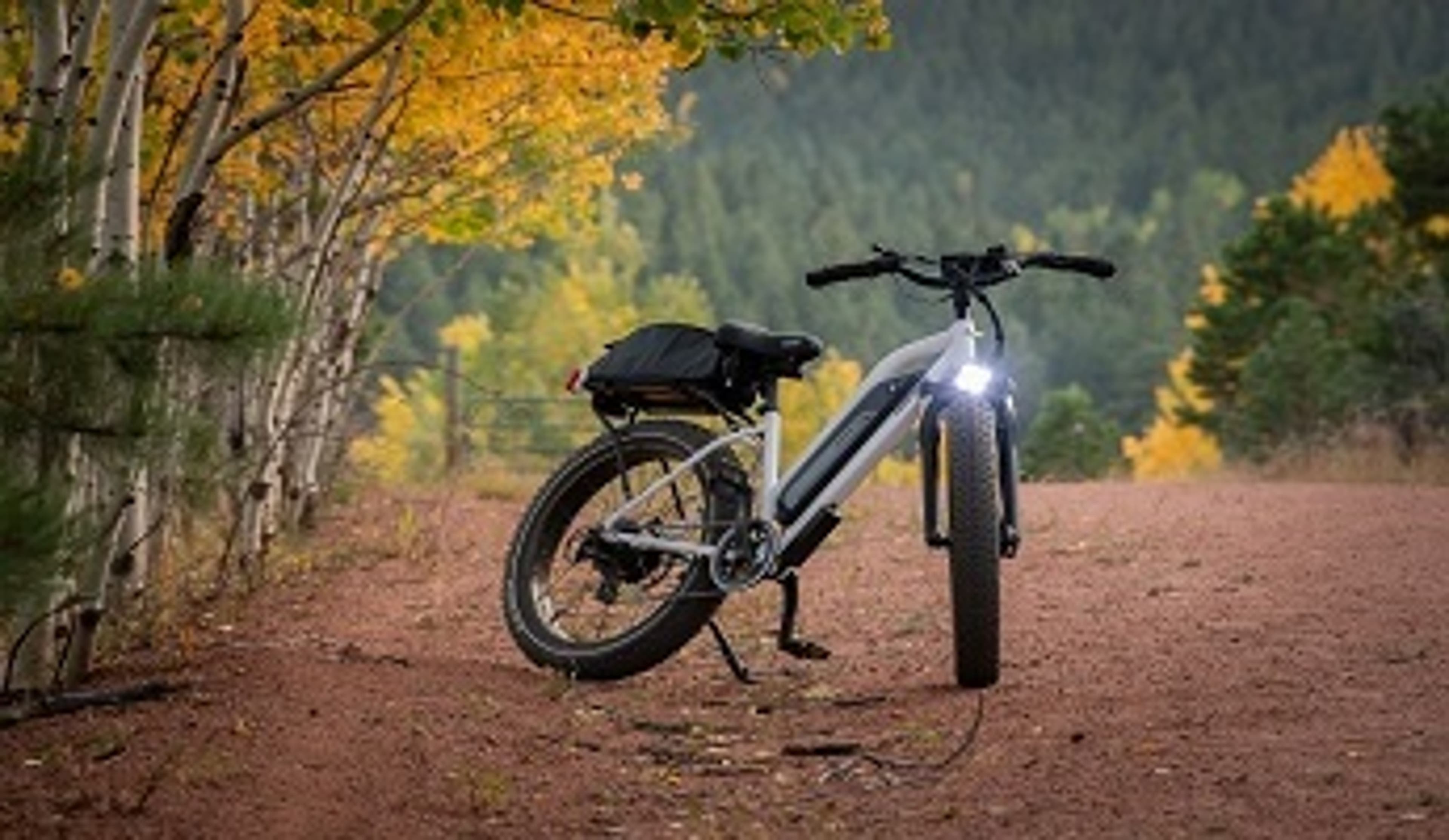  An Electric Bike from Tredz on a forest dirt path 