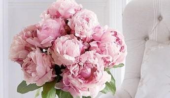 Exclusive Appleyard Flowers Discount Codes 25 Off in August 2024